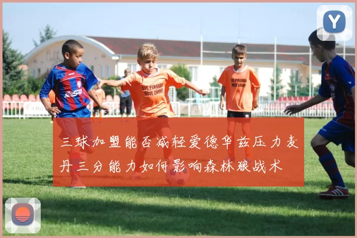 三球加盟能否减轻爱德华兹压力麦丹三分能力如何影响森林狼战术
